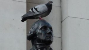 Leave our statues alone, pigeons need them