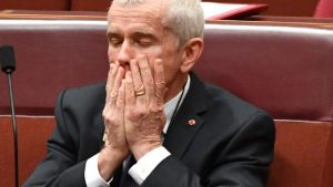 We need a second Senate for Malcolm Roberts and other oddballs